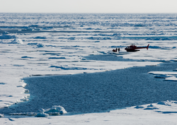 Helicopter and team on ice looking for Jaguar.