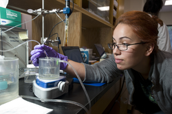 Summer Student Fellow Alterra Sanchez working in the lab.
