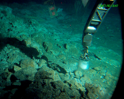 Alvin manipulator using a corer to sample during Alvin dive 3814.