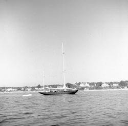 Unidentified vessel in Vineyard Harbor.