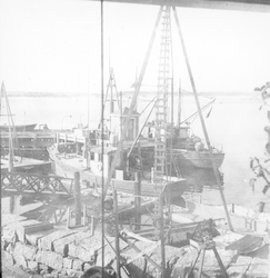The Anton Dohrn and the Asterias, Woods Hole dock