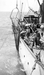 Blake trawling in Corrientes Bay, Cuba