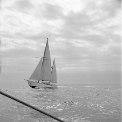 Aries under sail near Bermuda