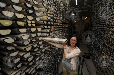 Phoebe Lam sorting through core sections in the Seafloor Samples Laboratory.