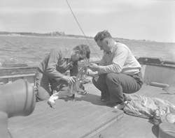 Carl Hayes and Tex Hoadley working on deck.