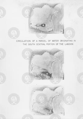 Circulation of a Parcel of Water Originating in S. Central Portion of the Lagoon