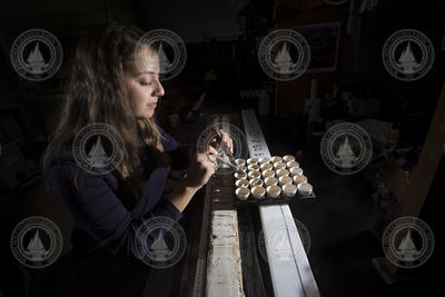 Alexandra Labella selecting sections of a recovered sediment core.
