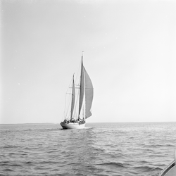 Aries under sail, stern view