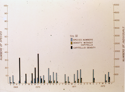 Species density plotted after the West Falmouth oil spill.
