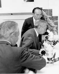 Visiting Emperor Hirohito at microscope with Sus Honjo assisting him.