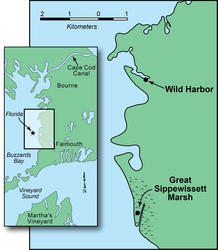 Location map for the site of the Buzzards Bay Florida oil spill off West Falmouth, MA.