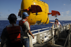 AUV Sentry recovery operations on Endeavor in the Gulf.