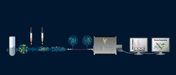 Illustration of mass spectrometry process