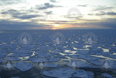 Pancake ice on the surface of the northern Chukchi Sea.