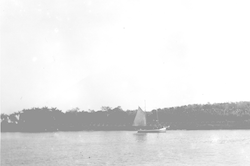 Sailboat against Cuban shoreline from the Atlantis