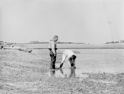 Howard Sanders and George Hampson at the site of the West Falmouth oil spill