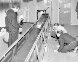 Scientists observe the flow in a flume that was located behind the Bigelow Laboratory.