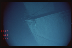 Overhead image of the Titanic wreck site, taken by the ANGUS sled cameras.