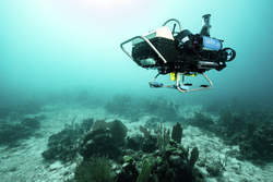 WARP-AUV (Curious robot) operating underwater above a coral reef.