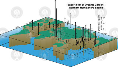 Export Flux of Organic Carbon: Northern Hemisphere Basins
