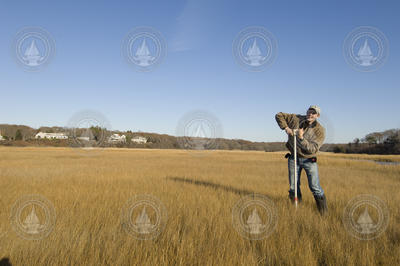 Jonathan Woodruff coring in Sippewissett marsh.