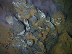 Hydrothermal vent chimney expelling mineral-laden fluids.