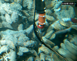 Manipulator probe sampling black smoker liquids during Alvin dive 3752.