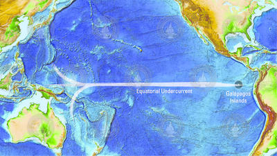 Equatorial Undercurrent (EUC) west to east toward Galápagos Islands.