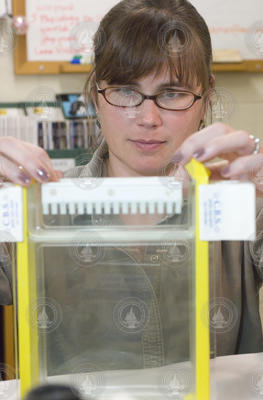 Becky Gast preparing to run a gel in the lab.