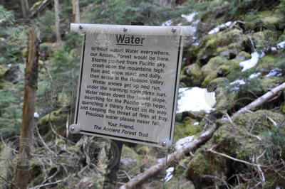 Sign in the woods promoting the importance of water.