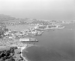 Aerial of Woods Hole