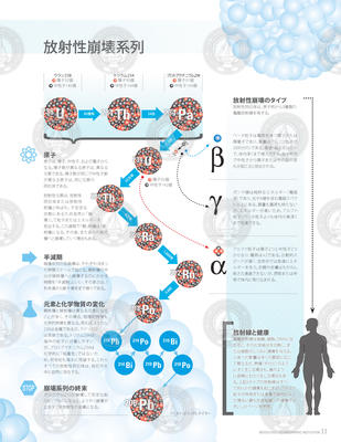 Infographic depicting radioactive decay chains (Japanese version)