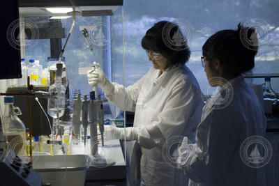 Priya Ganguli (left) working with PEP student Kelly Luis in the lab.