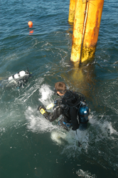 Divers in the water near the ASIT