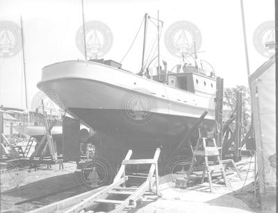 Balanus at the shipyard