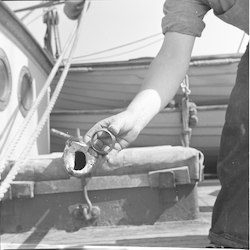 H.C. Stetson with smashed coring tube.
