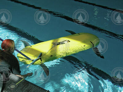 AUV Finnegan undergoing pool testing.