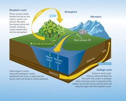 Illustration depicting carbon's two major cycles, Biospheric and Geologic.