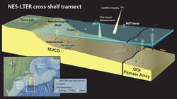 Illustration showing the MVCO and Pioneer Array NES-LTER cross-shelf transect.