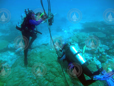 Konrad Hughen and Colleen Hansel core into a Porites lobata coral colony.