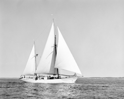 Aries under full sail.