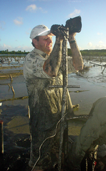 Jon Woodruff coring in wetlands in Vieques.