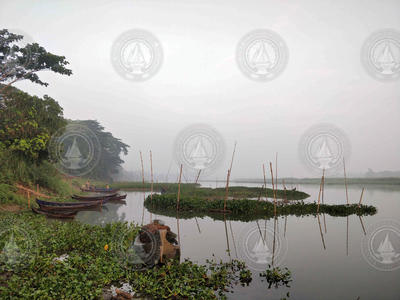 A misty morning on an oxbow lake in the Ayeyawady River delta.