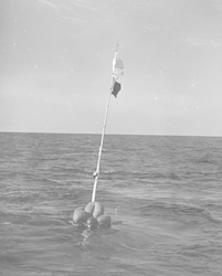Current meter buoy in water
