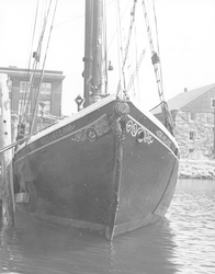View of bow of schooner Reliance at WHOI dock.