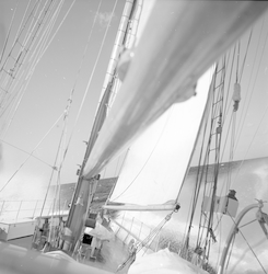 Aries on deck under sail