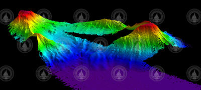 Multibeam sonar image of Manning Seamount.