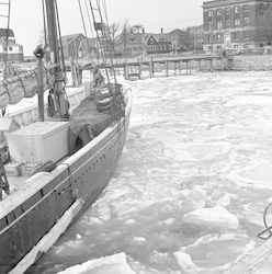 Schooner Reliance in ice.