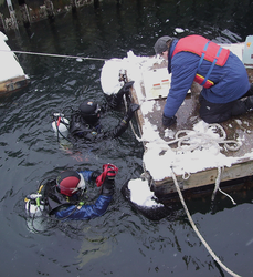 Divers working under WHOI dock.