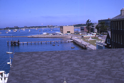 Fisheries building and dock.